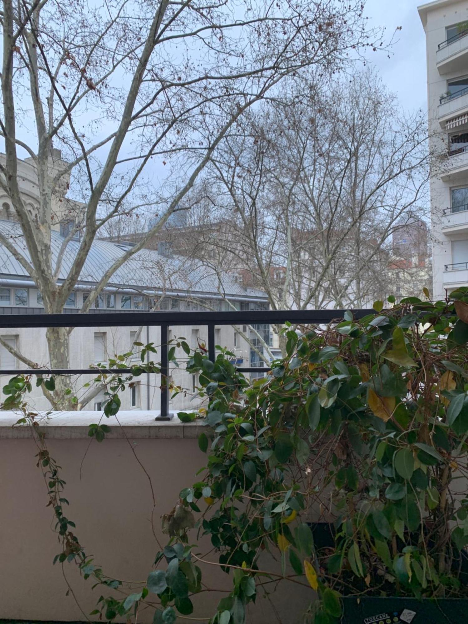 Lyon 3 Triangle D'Or Apartman Kültér fotó