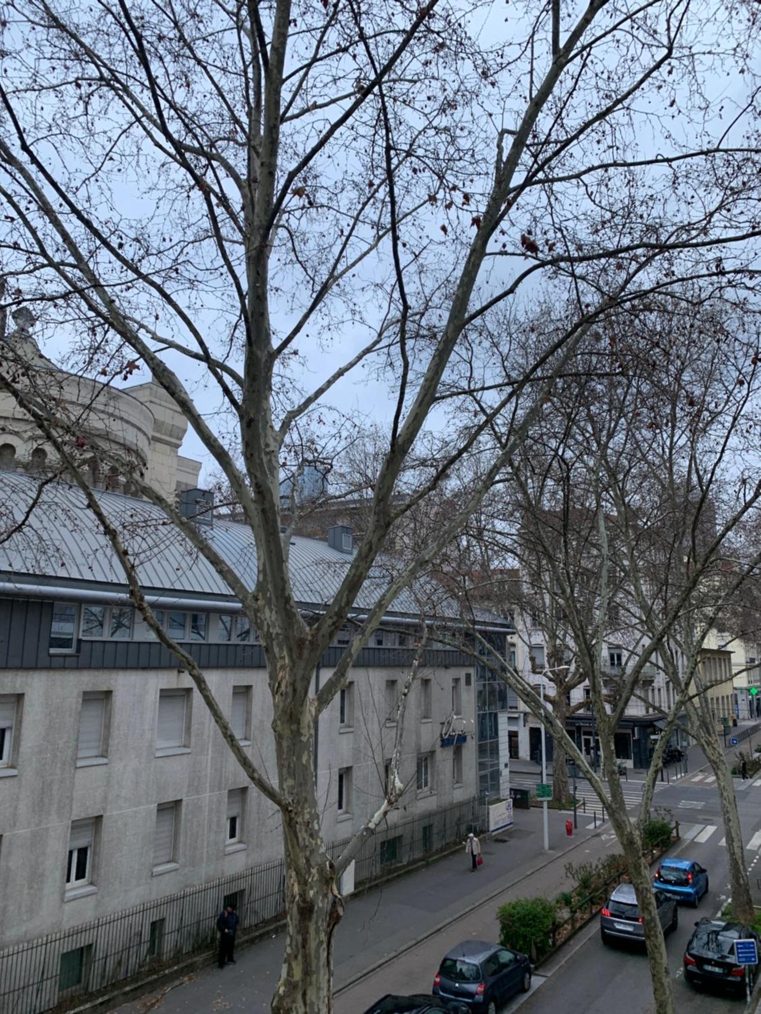 Lyon 3 Triangle D'Or Apartman Kültér fotó